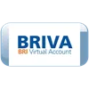 BRI