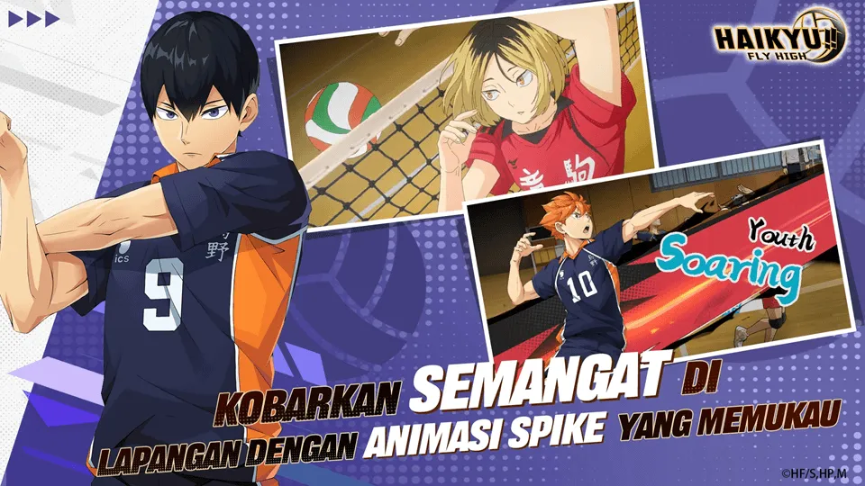 HAIKYU FLY HIGH