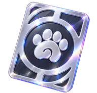 Advanced Companion Handbook