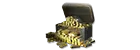 2000 Gold