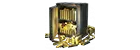 5000 Gold