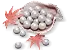 3000 Echo Beads