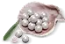 900 Echo Beads