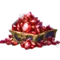 6500 Ruby